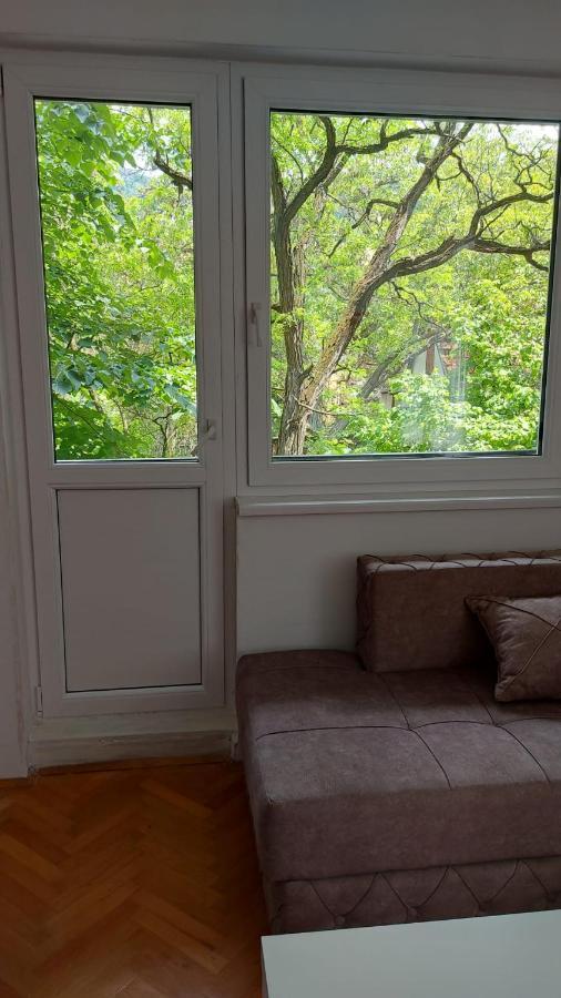 Milica Apartment Vrsac